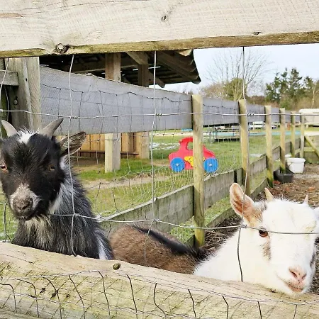 6 Person In Struer-by Traum * Struer