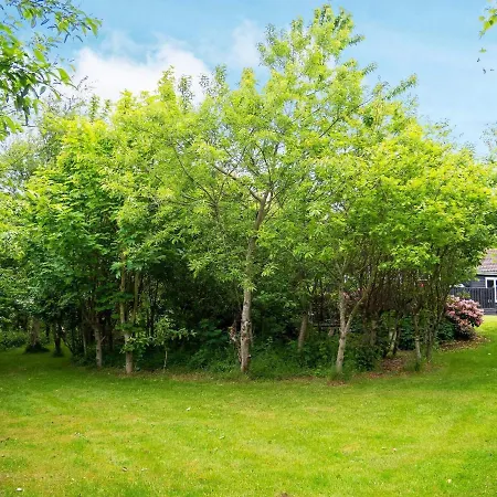 6 Person In Struer-by Traum Struer