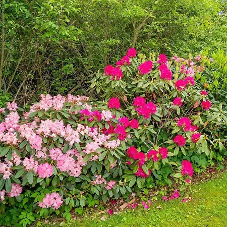 Ferienhaus 6 Person In Struer-by Traum